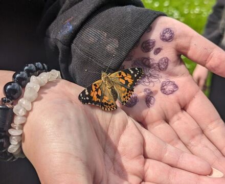 PXL 20240521 112802796