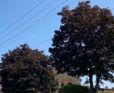 Thumbnail IMG 9213