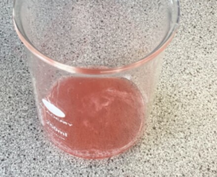 Extracting DNA 3 Mark Burrell