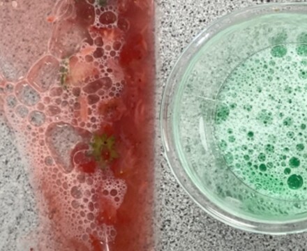 Extracting DNA Mark Burrell