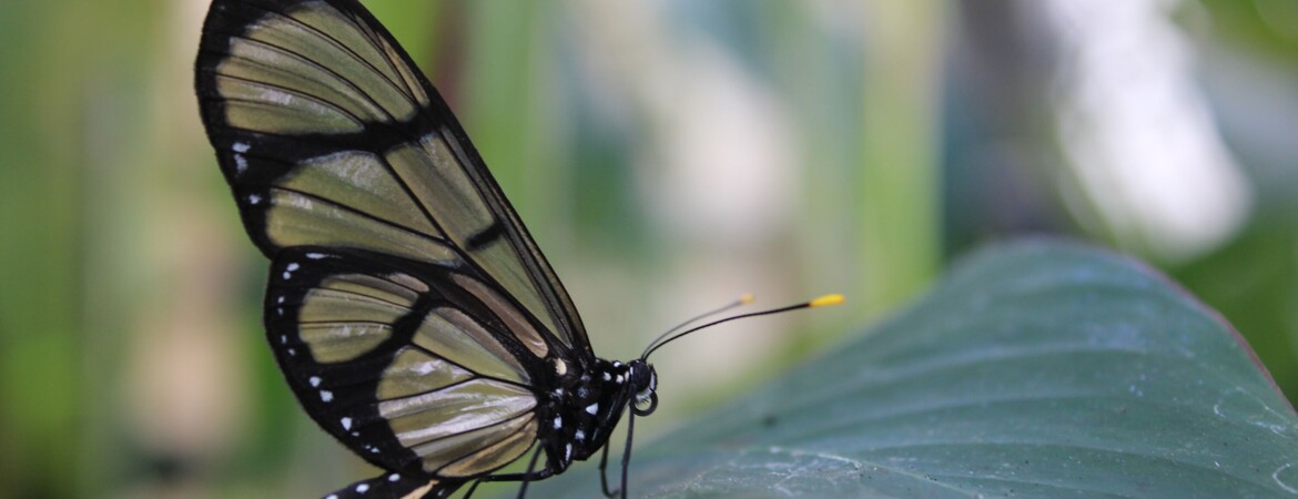 Blog Header Image