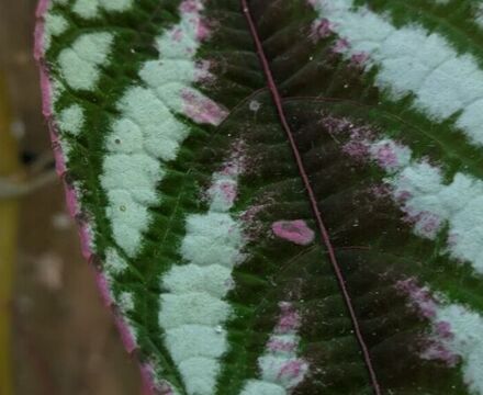 PXL 20250916 095603088 Ally Tokat