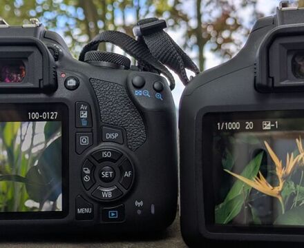 PXL 20250916 111115510 Ally Tokat