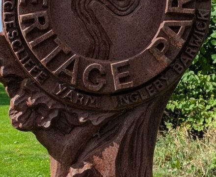 PXL 20250916 113442238 Ally Tokat