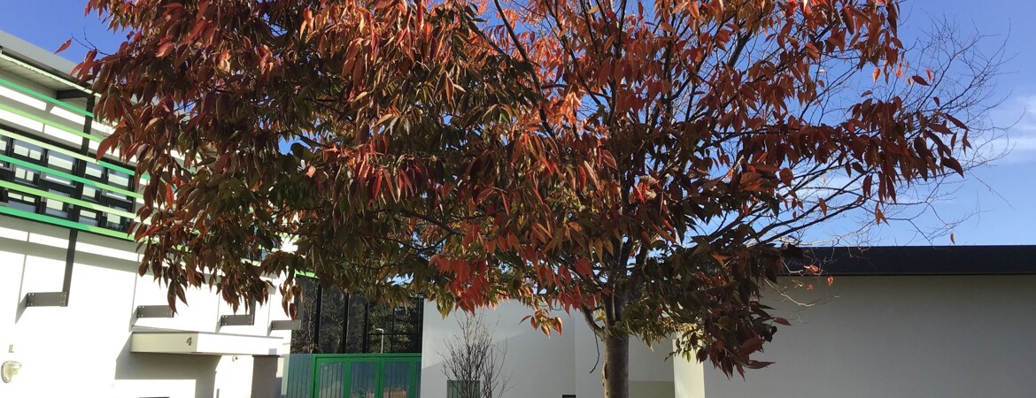 Blog Header Image