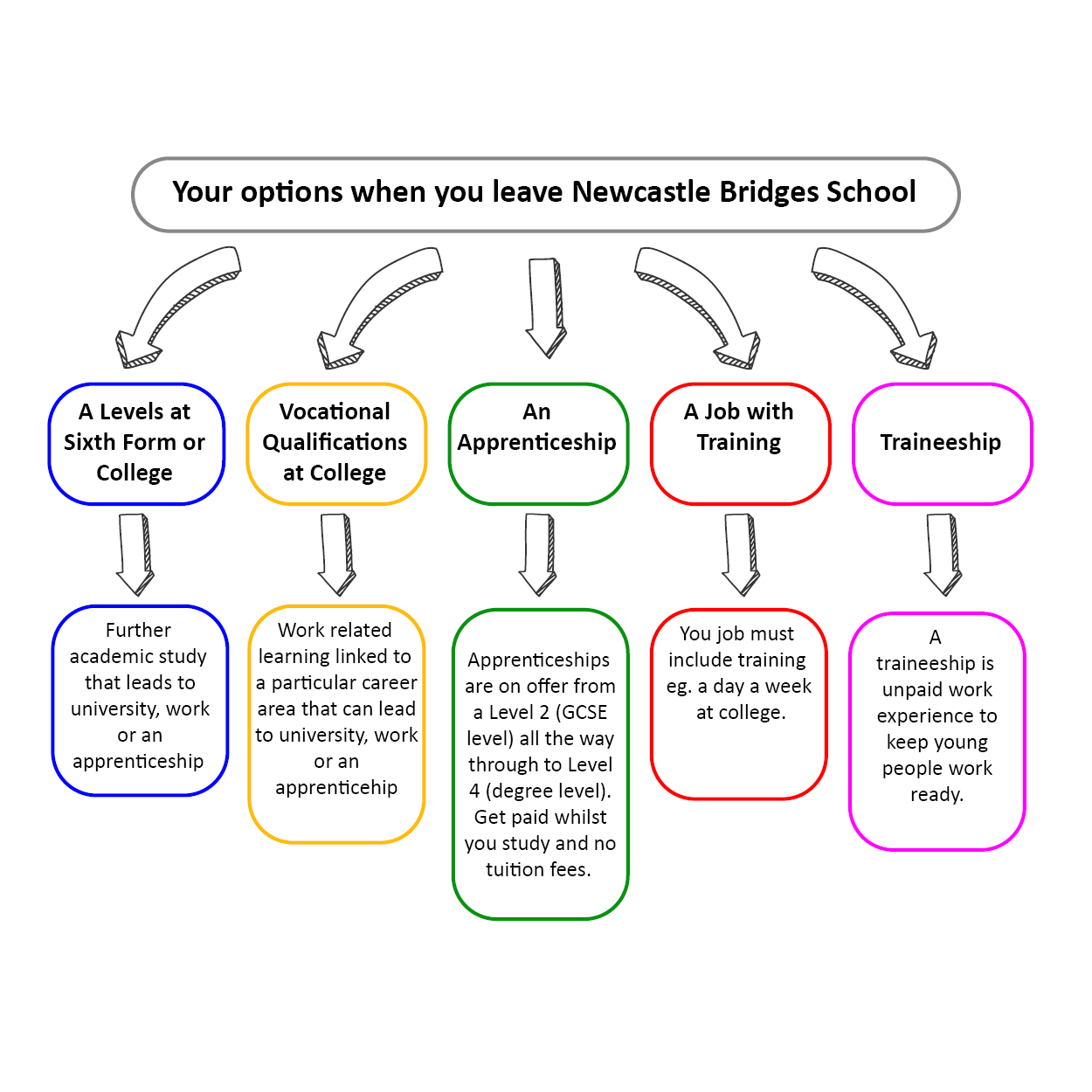 Your options after school