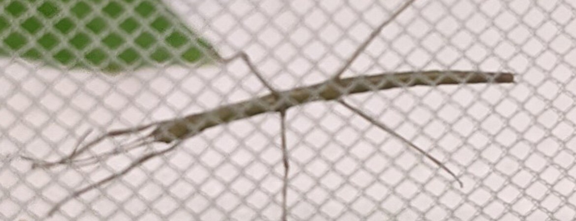 Blog Header Image