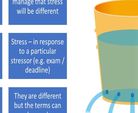 Stress Bucket