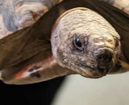 Thumbnail PXL 20221214 134423107.PORTRAIT