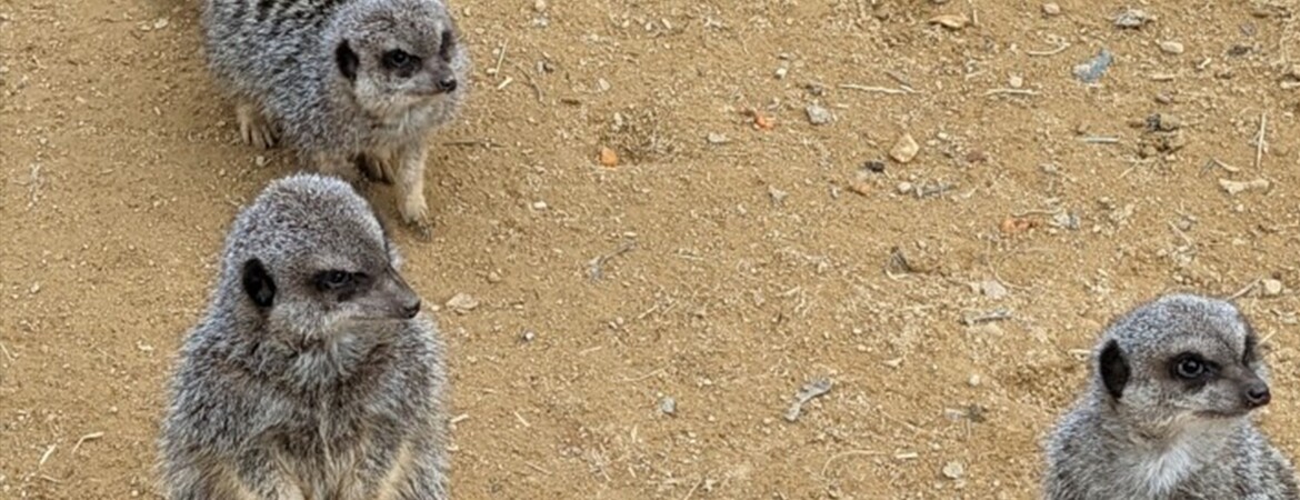Blog Header Image