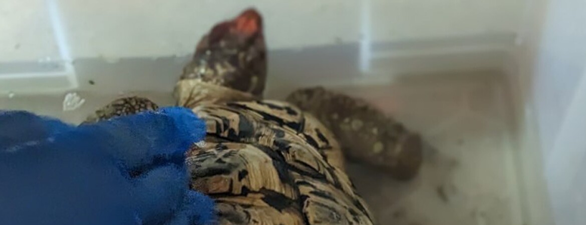 Blog Header Image
