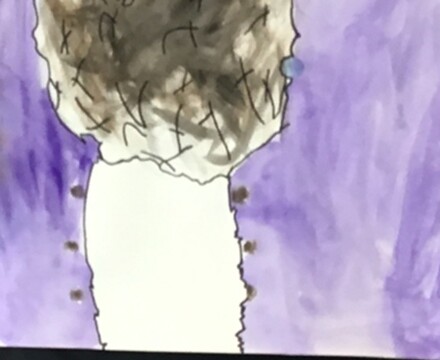 Picture3