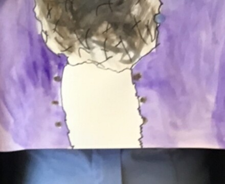 Picture8