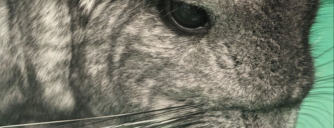 Blog Header Image