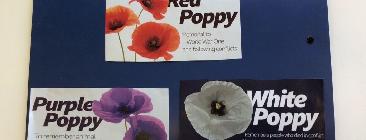 Blog Header Image