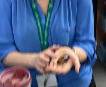 IMG 0059